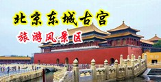 美女又黄被艹中国北京-东城古宫旅游风景区